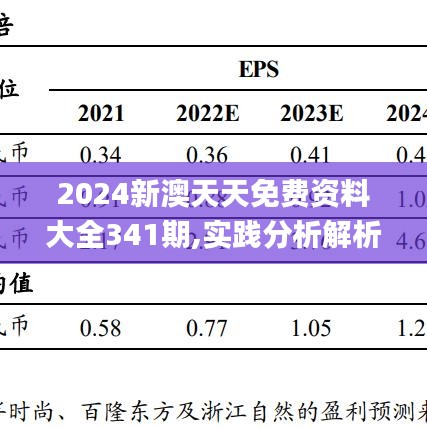 2024新天天免费资料,实践研究解释定义_suite67.591