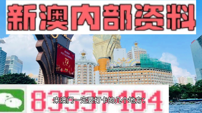 新澳2024年精准资料220期,动态解析词汇_PalmOS30.565