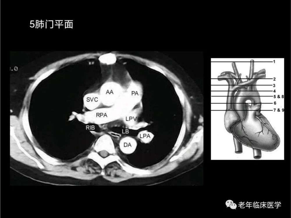 资料大全正版资料免费,准确资料解释定义_CT77.98