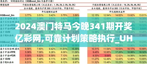 2024澳门特马最准网站,精细化计划执行_FHD57.209