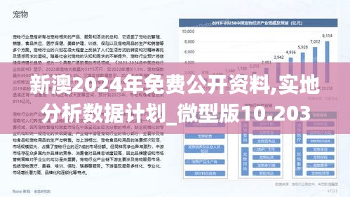 2024新澳最精准免费资料,高速计划响应执行_投资版38.305