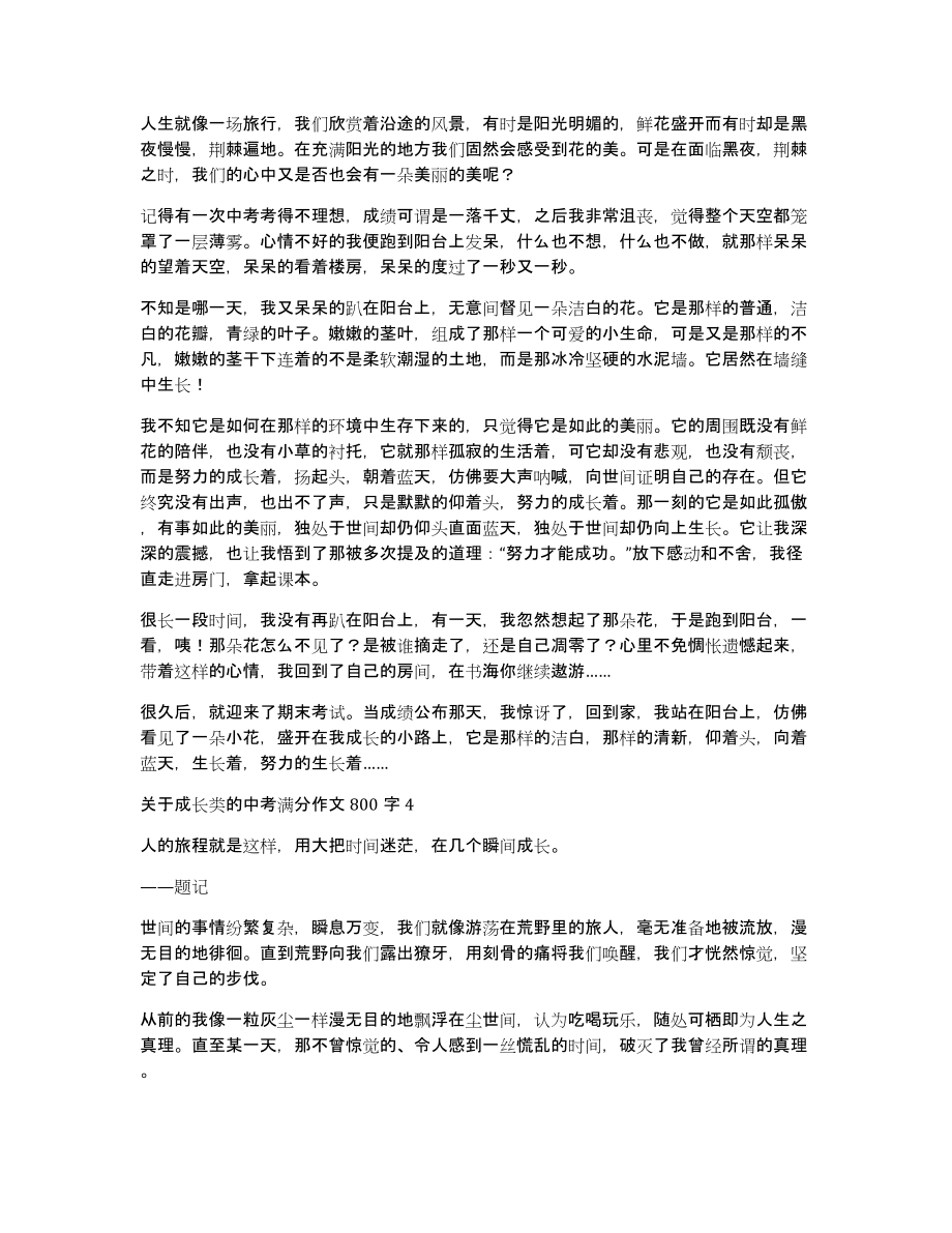 中考满分作文魅力与启示，成长之路的心灵触动