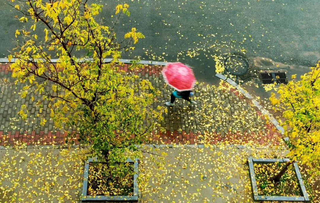 秋意渐浓，秋雨寒思与感悟之旅