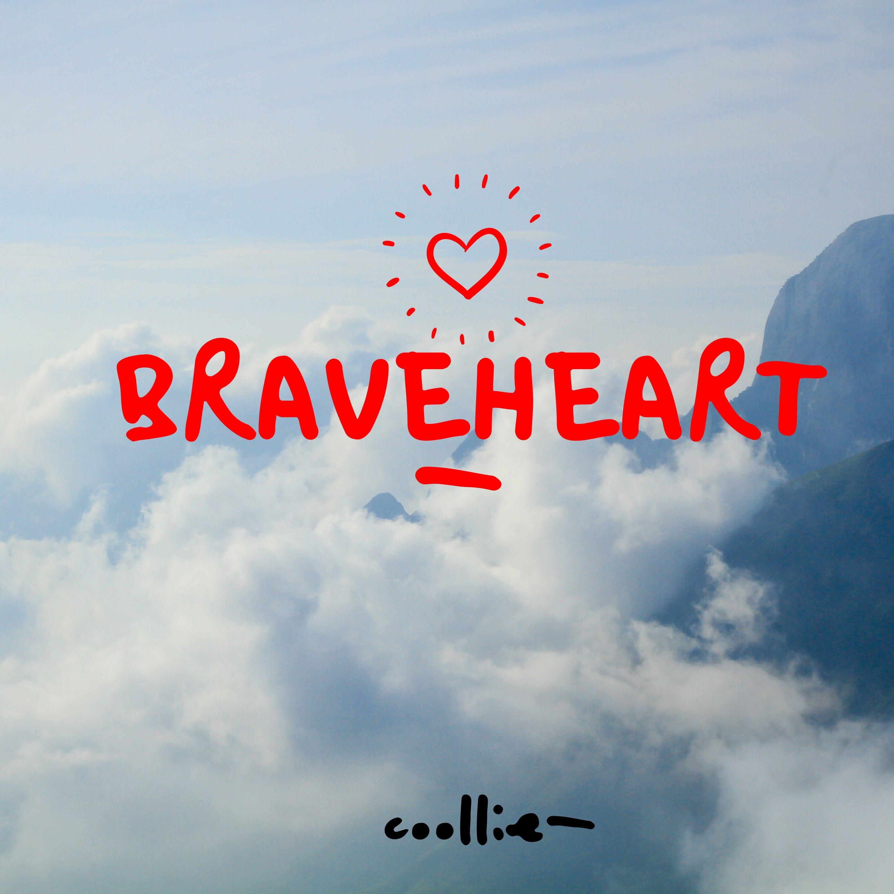 Braveheart.Z战队，勇气与荣耀的传奇之旅