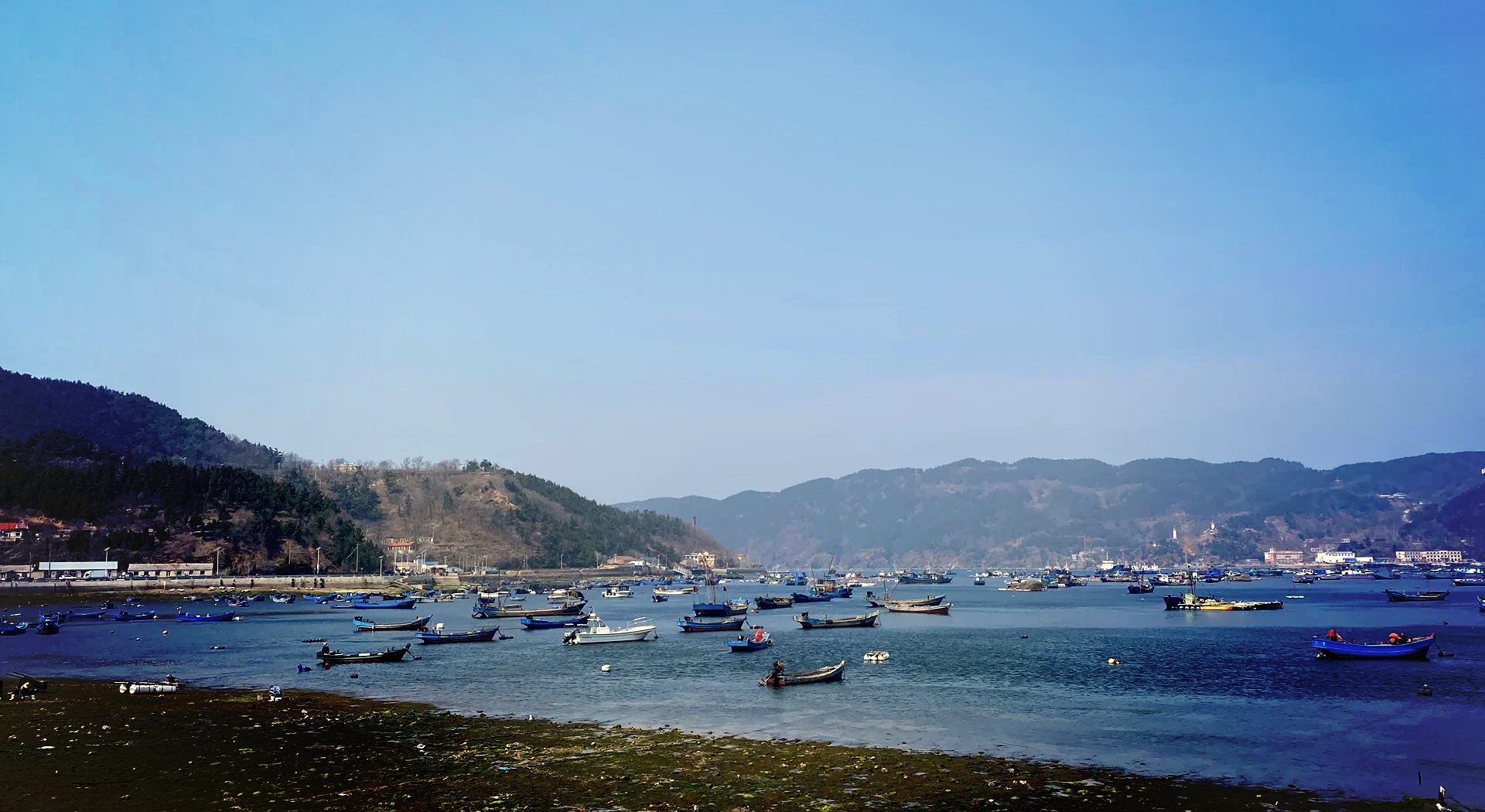 海洋岛完全探索指南，神秘岛屿攻略