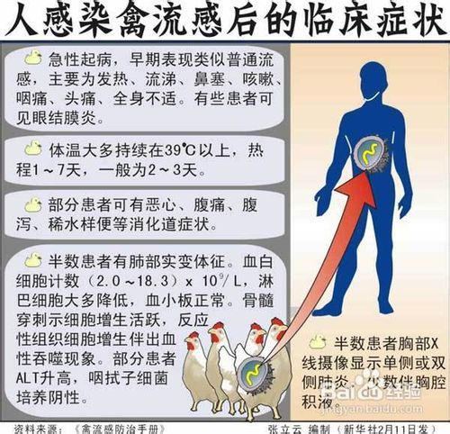 2025年1月17日 第8页