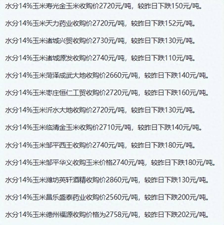 聊城玉米价格最新动态解析