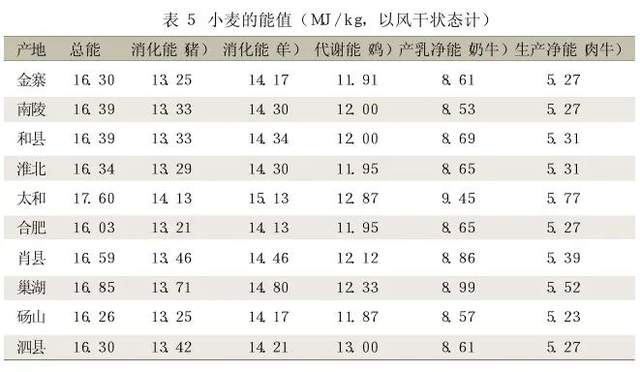 最新小麦质量标准及其应用与影响分析