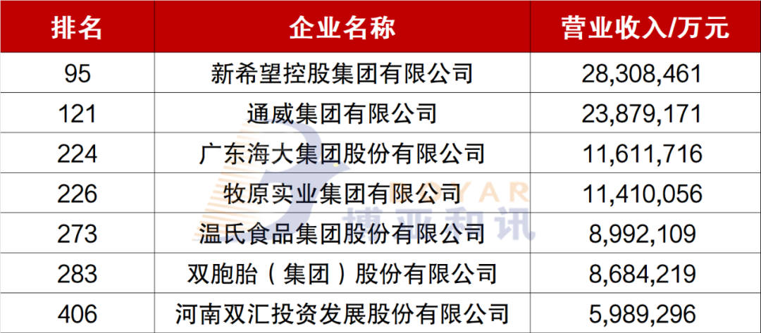 佳木斯中强招投标公司，专业服务典范