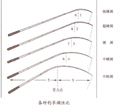 探索鱼竿奥秘，揭秘28调与37调的差异