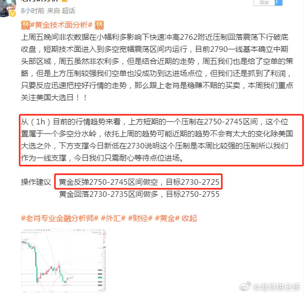 一肖一码一一肖一子深圳,实证分析解释定义_战略版27.530