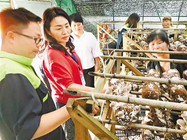 黄大仙三精准资料大全,战略性实施方案优化_手游版35.805