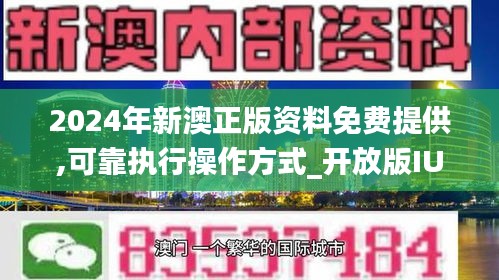 2024新澳精准正版资料,快速响应执行方案_高级版57.835