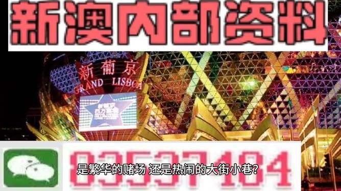 新澳门精准资料大全管家婆料,可靠性执行方案_铂金版48.498