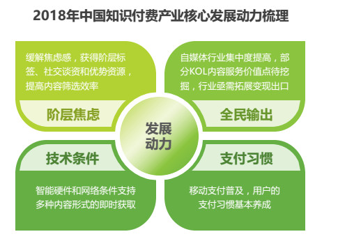 新澳门精准资料大全管家婆料,实效策略解析_X98.248