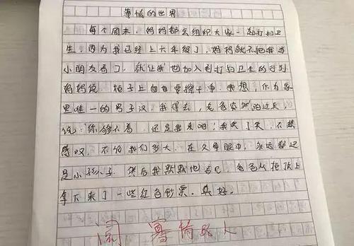 学生责任作文，探索个人责任与担当的力量之路